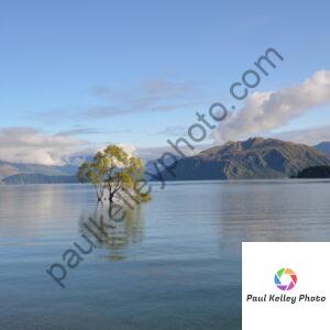 nzs01