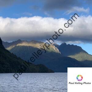 nzs10
