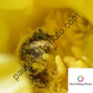 san08