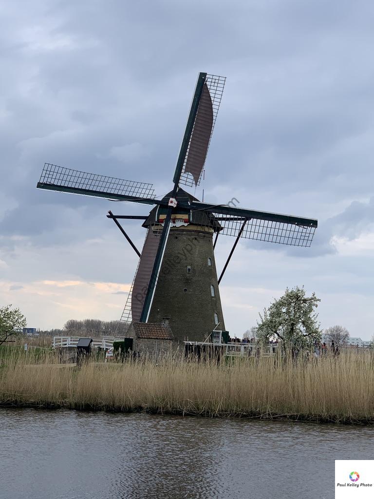NED05-2